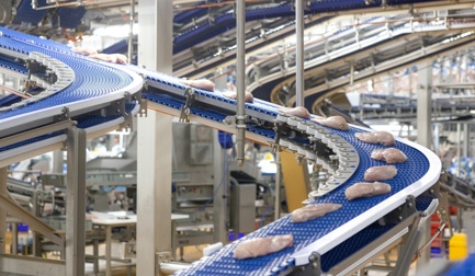 EnduraBelt meets all poultry transport requirements