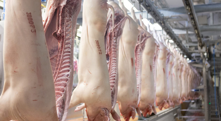 SBAG Pork Processing Splitting Saw TT MSS