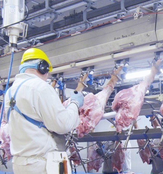 Operator trimming pork on DeboFlex