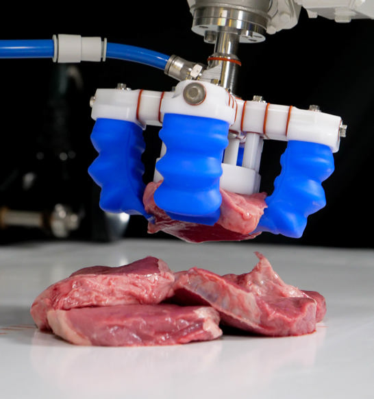 Mgripai Proteinautomation