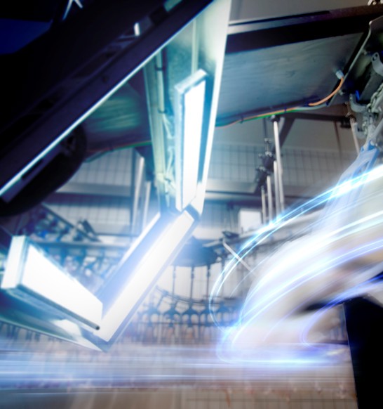 Poultry Processing Solutions IRIS