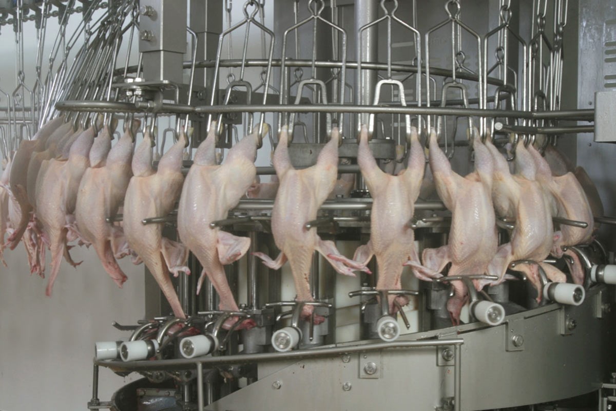 Neck cracker N-20 RS poultry