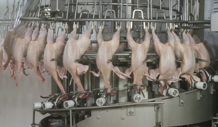 Neck cracker N-20 RS