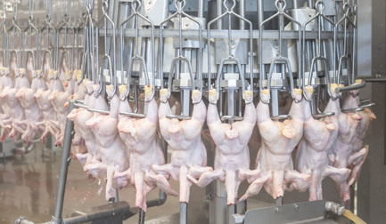 Операции после потрошения