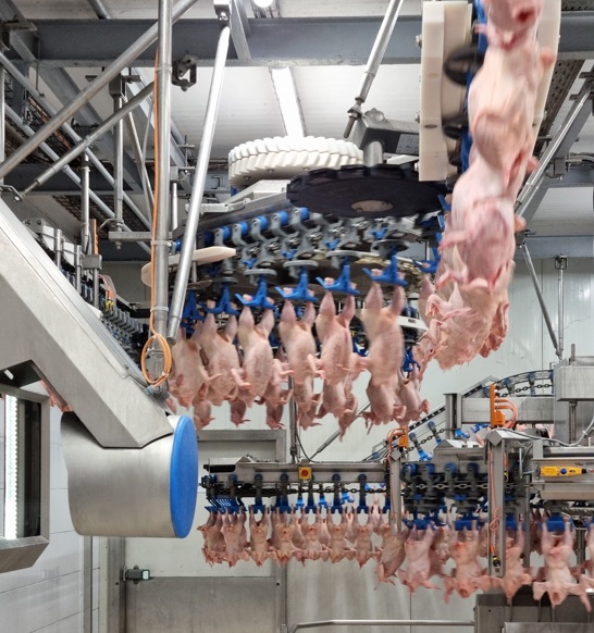 IRIS Smartweigher GDR