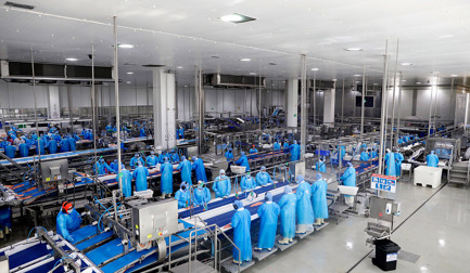 Camanchaca melhora eficiência e adaptabilidade