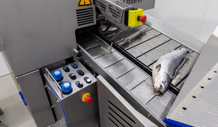 How does a deheader optimize salmon filleting?