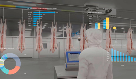 Carcass Process Chilling Solution