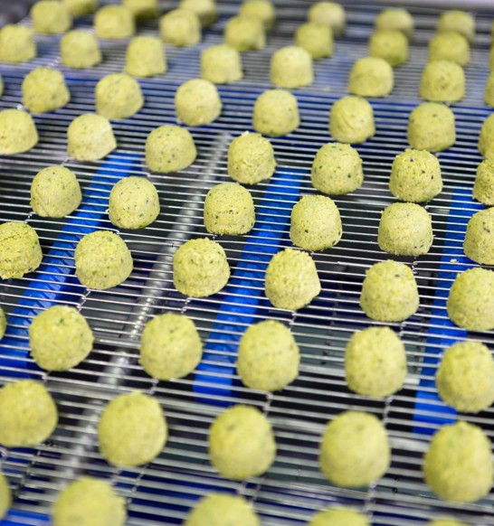 Revoportioner Forming Plant Based