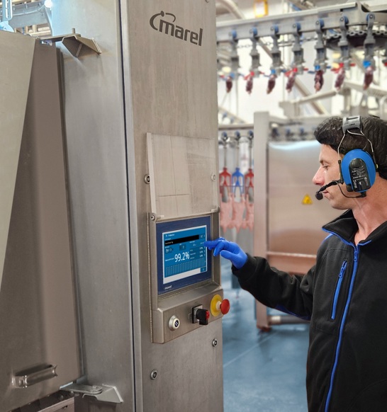 Nuova I Blue Man Landscape