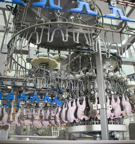 Volaille Linelink EC