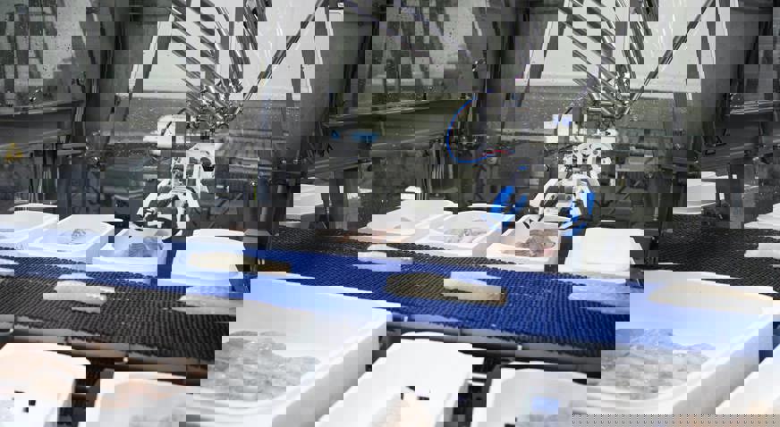 the revolutionary innovation at marel