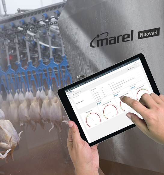 Nuova I Door Chicken Tablet Ipad Hand Smartbase