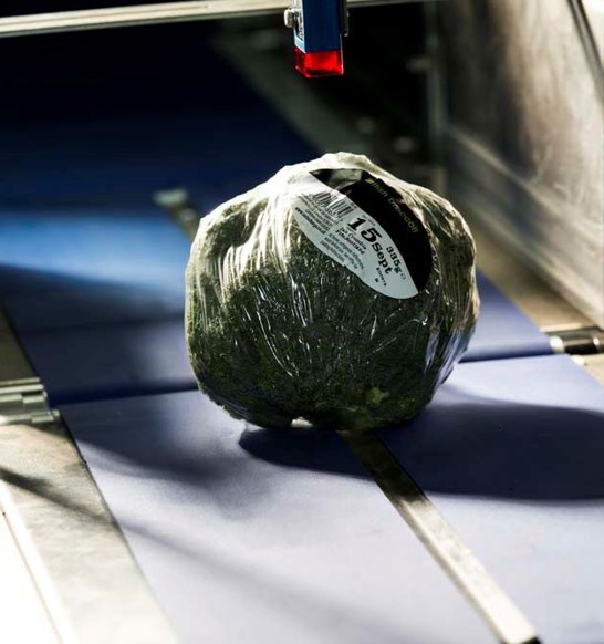 Brocolli Marel Labeler