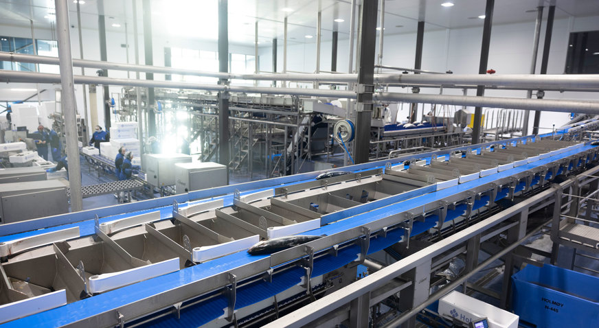 Holmoy Cutomer Story Processing Plant