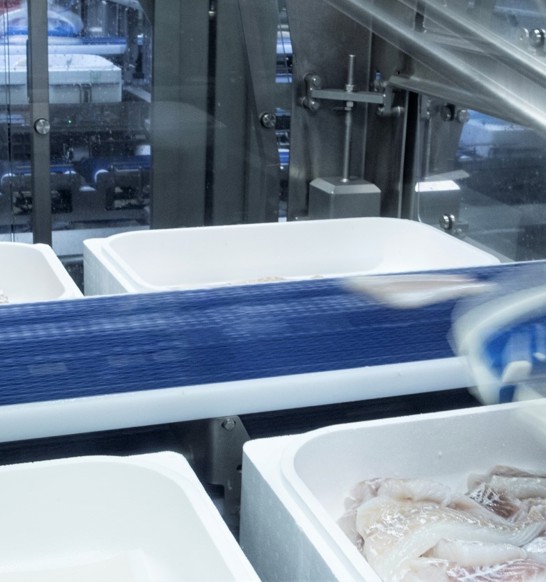 Robobatcher in Visir factory