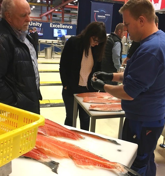 Seafood Showhow Seattle