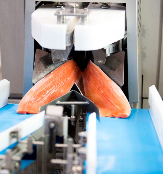 Fish Innova Software Processing