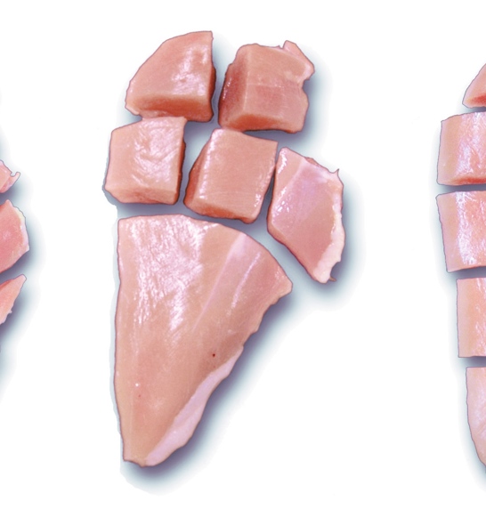 Cuts Poultry Fillet DSI