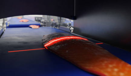 El relanzamiento del escáner de control de calidad MS 2920 aporta precisión y eficacia al procesado del salmón