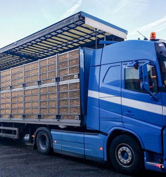 ATLAS Truck Transport