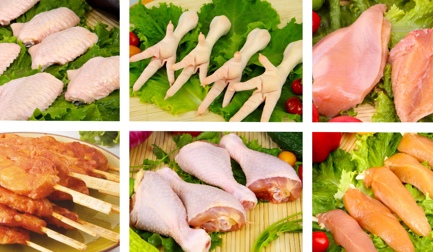 A 15,000 bph greenfield for Zhonghong Sanrong