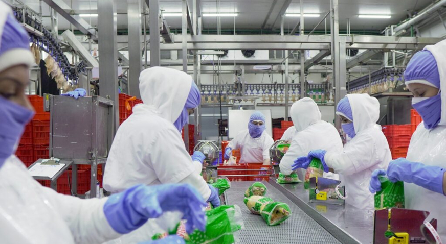 CMI El Salvador Packing