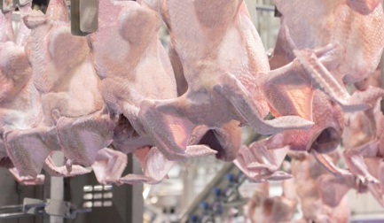 "Diseñamos el edificio en torno al proceso"