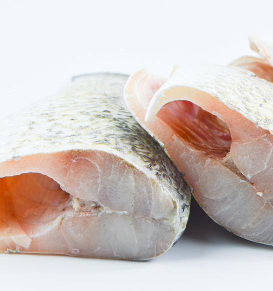 Barramundi Processing
