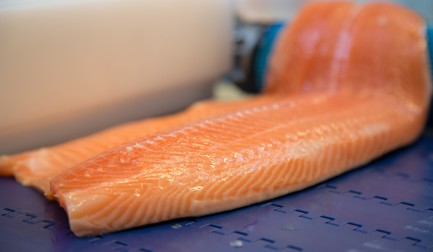 The smart filleting choice for smaller processors