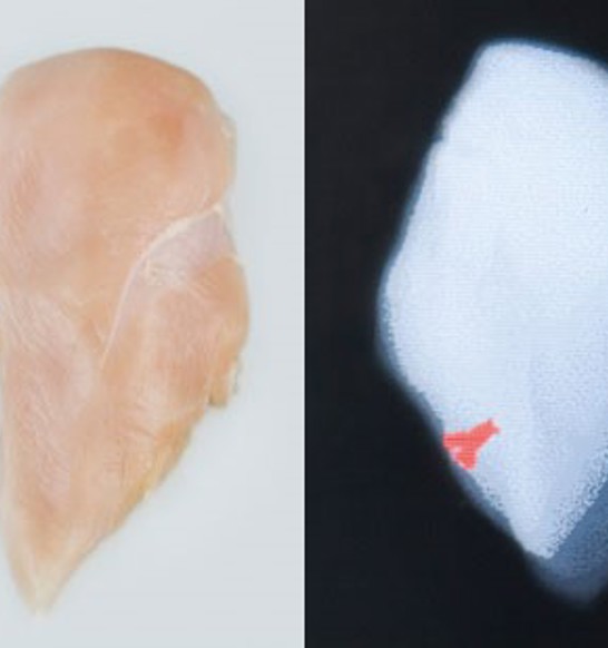 sensorx-poultry-fillets-scan.jpg