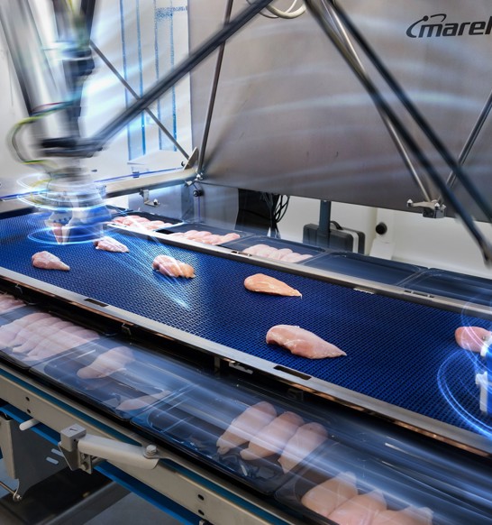 Robobatcher Tue Marel In AI 2