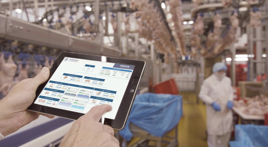 Poultry Processing Software Solutions