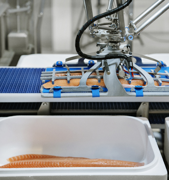RoboBatcher Box packing salmon fillets