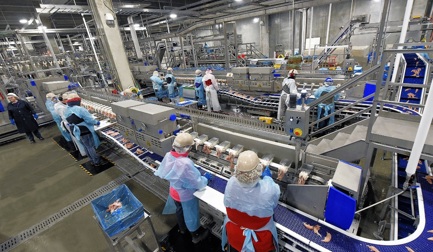 6 причин установить AMF-i