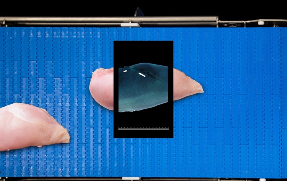 Marel’s SensorX, a revolutionary X-ray inspection technology sets the standard in bone detection