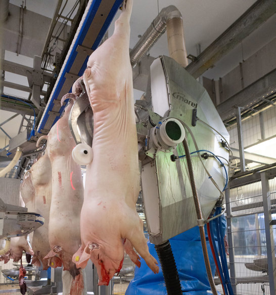 MSS TT M Line Splitting Saw