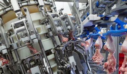 As soluções Marel atendem aos requisitos rigorosos da Chaohe