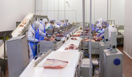 StreamLine pour le boeuf