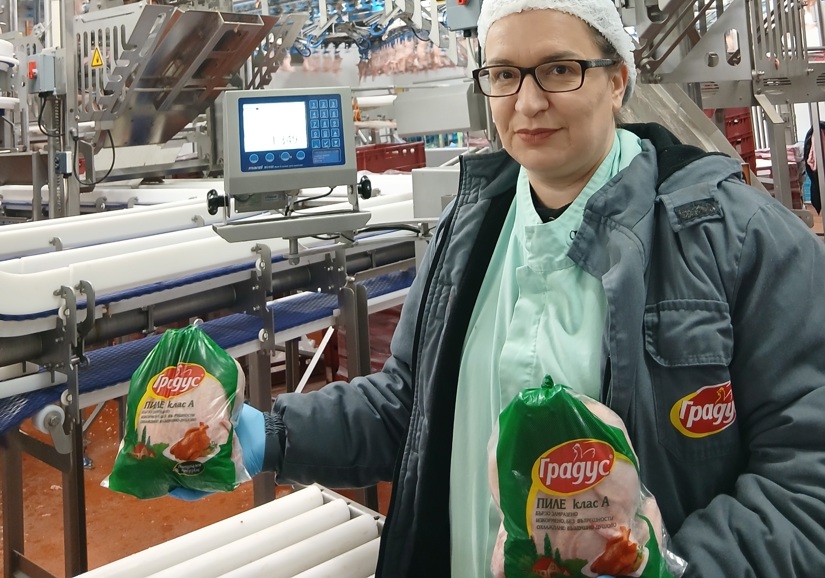 Gradus Factory Woman ACM