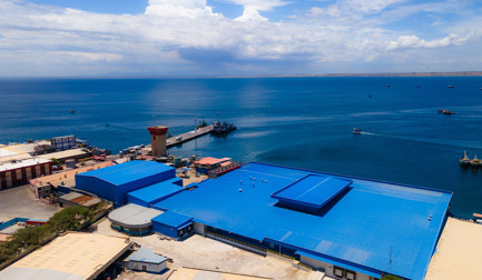 Manual to automated grading = game-changing results