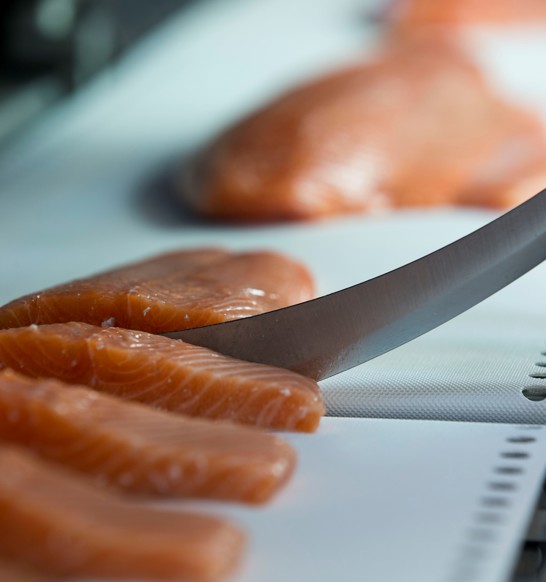 Salmon_portion cutting.jpg
