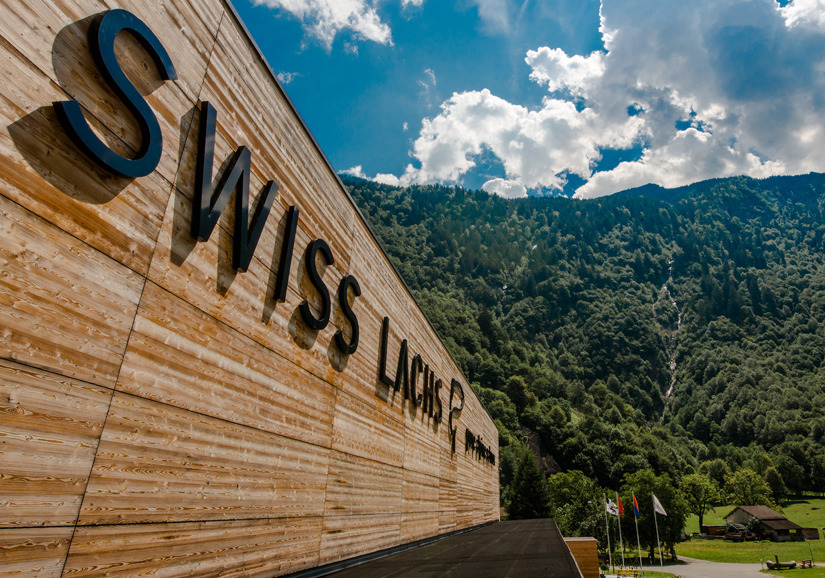 Swiss Lachs Lostallo Landscape