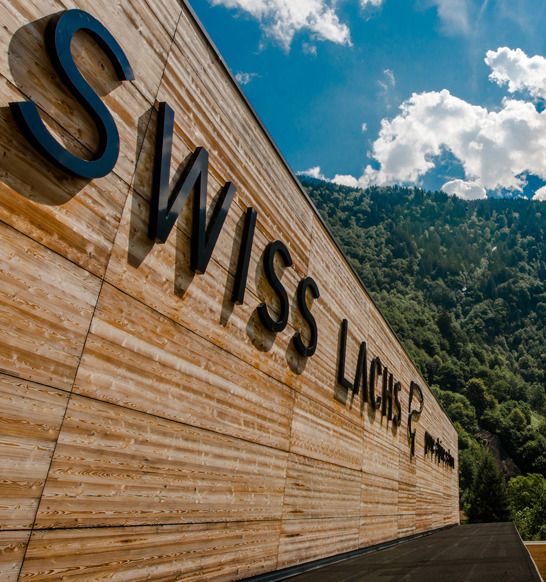 Swiss Lachs Lostallo Landscape