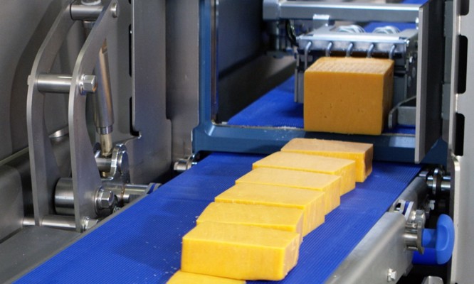 TREIF HAWK portion cutter