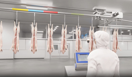 Stay ahead: Take your pork primary processing to the next level