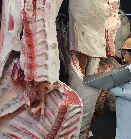 Auravision Equipment