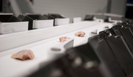 SmartLine Grader for poultry