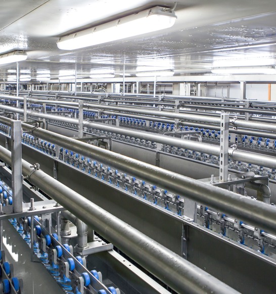 Inline Immersion Chilling5